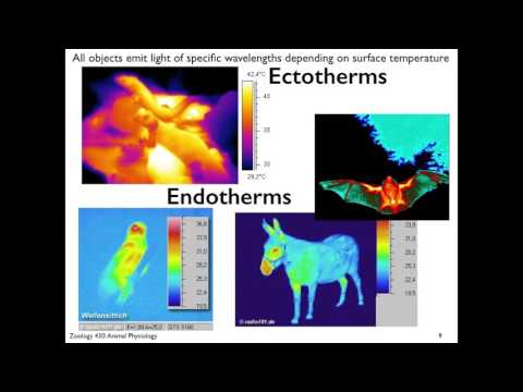 3. Temperature Heat Transfer