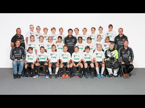 Sundsvall FBC P08 Öst Energichansen 2019