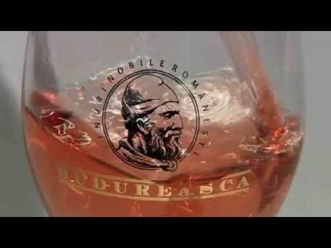 FILM PREZENTARE- BUDUREASCA ( Corporate )