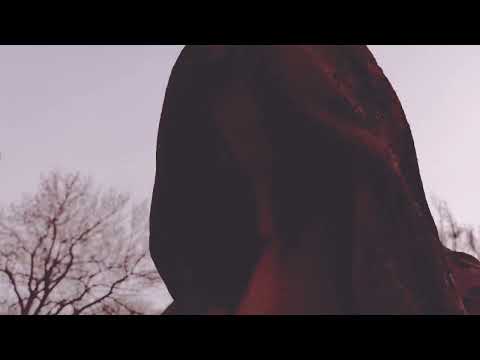 Wiener Zentralfriedhof 2022.