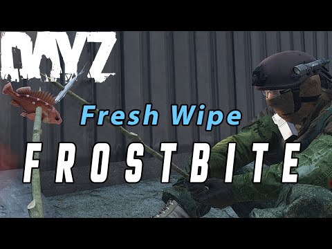 Day 1 in 5 (Fresh Wipe) #dayz #frostbite #stalker