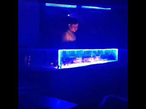 Mundur alon alon remix