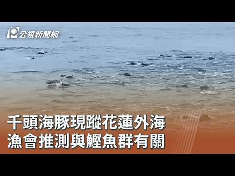 youtube影片