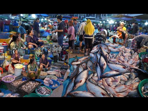 Early Morning Fish Market in Cambodia - Plenty Alive Fish, Seafood, Dry Fish & More in Fish Market