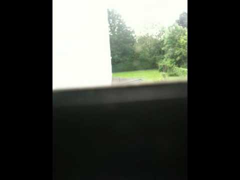 D-Ren Freestyle für Faceboook 28.o5.2010 Teil 2 in Facebook