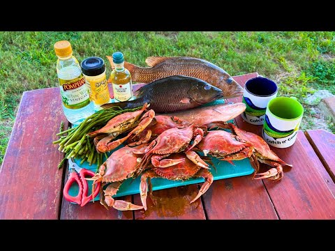 Catching a Florida Coast FEAST! Blue Crab n' Snapper Cookup!