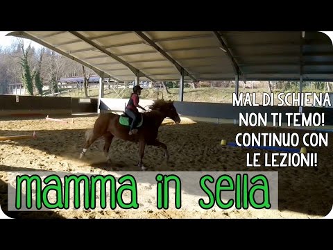 Dolente sul giunto piede non può venire Stecca sul ginocchio come scegliere