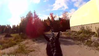 sep 26 2025 trail ride part 2