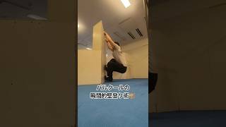 パルクールの瞬間的壁登り術🐒 #パルクール #parkour #クライムアップ #climbup
