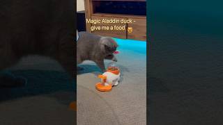 Download lagu How works Aladdin duck cat feeder 😻 #cat #shorts #funnycats #cute #britishshorthair #cuteanimal mp3