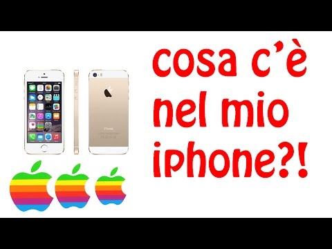 Cosa c'è nel mio iphone?!