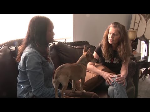 Hantavirus survivor shares her story