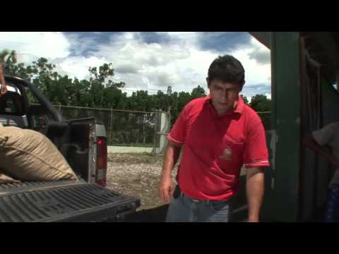 download lagu mp3 mp4 Alto El Sol, download lagu Alto El Sol gratis, unduh video klip Alto El Sol