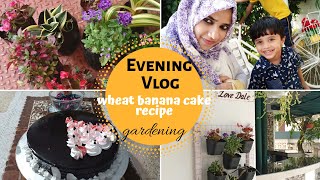 Evening Vlog-Wheat banana cake recipe/Gardening
