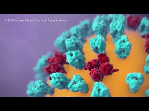 Corona Biro - J Agure (Official Music Video)