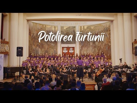 Potolirea furtunii - Consonantis Junior