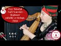 Noel Nouvelet - Harp Free Tutorial By Ear - beginner & 27 String | McTelenn Harp Center