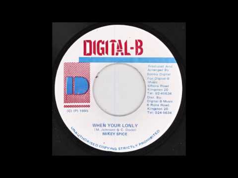 Your Love Riddim Mix Aka Lady Pullover Riddim Aka Rose Garden Riddim 1995 -2003 Digital B,Fat Eyes,J