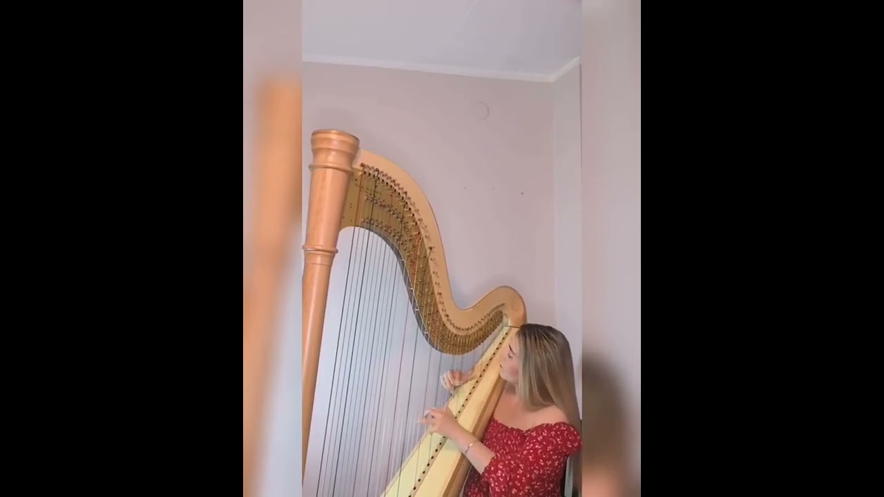 YouTube snimak