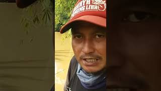 Download lagu Sensasi Sambaran ikan nilem saat air keruh || mancing di sungai liar #shorts #mancingliar mp3