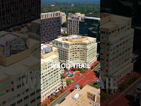 Agent On Camera – American Homes