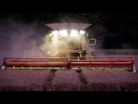 Claas Lexion 760 TT | Fendt Traktoren 828 Black Beauty & 936 | Ernte 2017