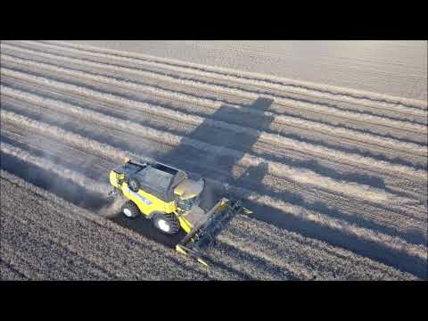 Tarwe dorsen 2018 | loon- en grondverzetbedrijf Akkermans uit Kruisland