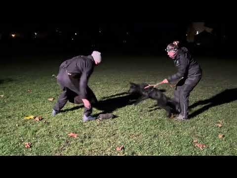 André z Jukasu - 2nd protection training - 11/2025