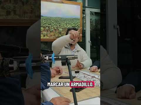 El armadillo de don Bertulfo