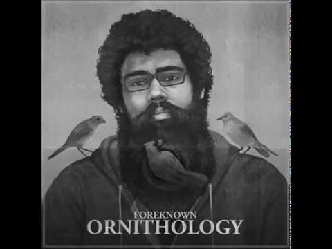 Foreknown - Shapeshifter |@Foreknown #Ornithology