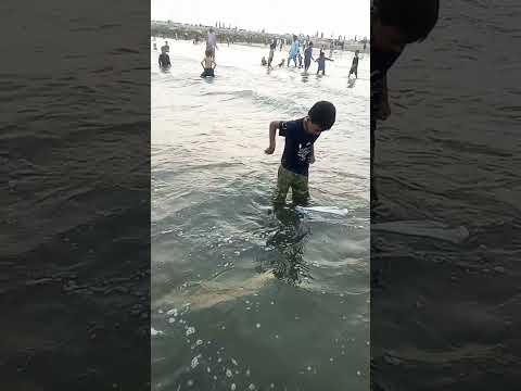 seaview enjoy 🎉🎉🎉🎉#ytshorts #viral #trending