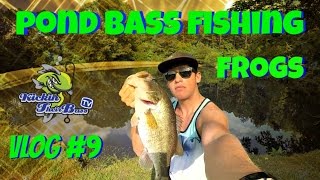 Pond Bass Fishing ~ Topwater Frogs and Wobble Heads Vlog #9