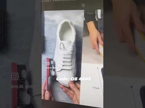 Cleaning Brush  (OB 4848)