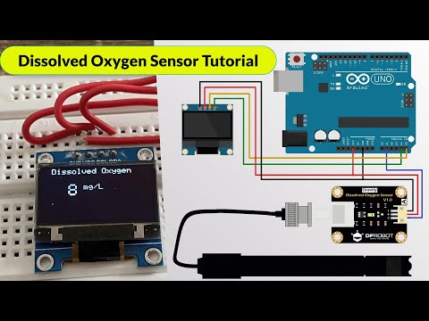 Analog Dissolved Oxygen Sensor Tutorial  | DIY Arduino D.O. Meter