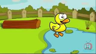Al agua pato ♫ canción infantil ♫ Español