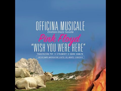 Pink Floyd Wish You Were Here Full album  Officina Musicale live (unplugged)