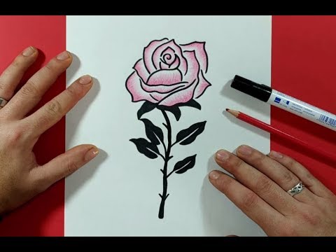 Como dibujar una rosa facil y bonita paso a paso a lapiz - Como dibujar