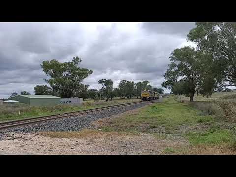 QUBE 1104 1103 1101 RL303 at Braefeild traveling from Werris creek to Carrington