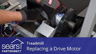 How to Replace a Treadmill Drive Motor