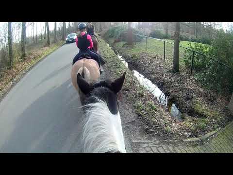 Vandaag les op Billy en een stukje naar buiten bij manege Holzik stables. Lindsey 's paardenwereld.