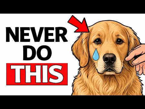 10 Things Your Dog Will NEVER Forgive