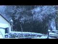 Listen...the snow is falling 