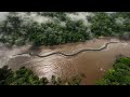 GIANT ANACONDA Spotted In The Wild Real Footage From The Amazon Jungle