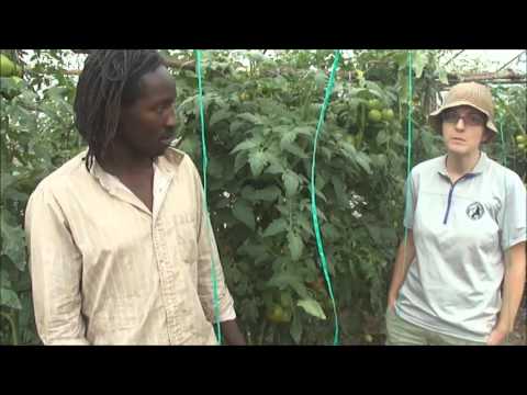 What Cuba can teach America about organic farming