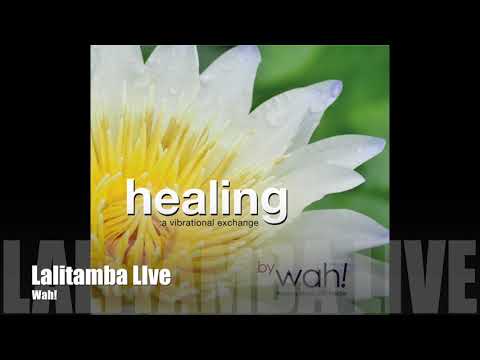 Wah! HEALING: A VIBRATIONAL EXCHANGE - Lalitamba Live