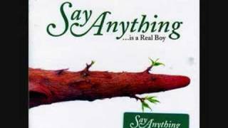 I will Never Write an Obligatory Song... Say Anything Cover