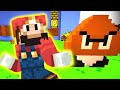 Super Mario Minecraft Version