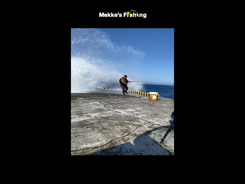 バルト海の海水浴は危険に:「水に入らないでください」