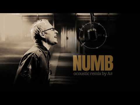 Linkin Park - Numb - Acoustic Version/ Remix