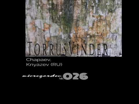 Chapaev - Torrus Filted (Knyazev (RU) Remix)
